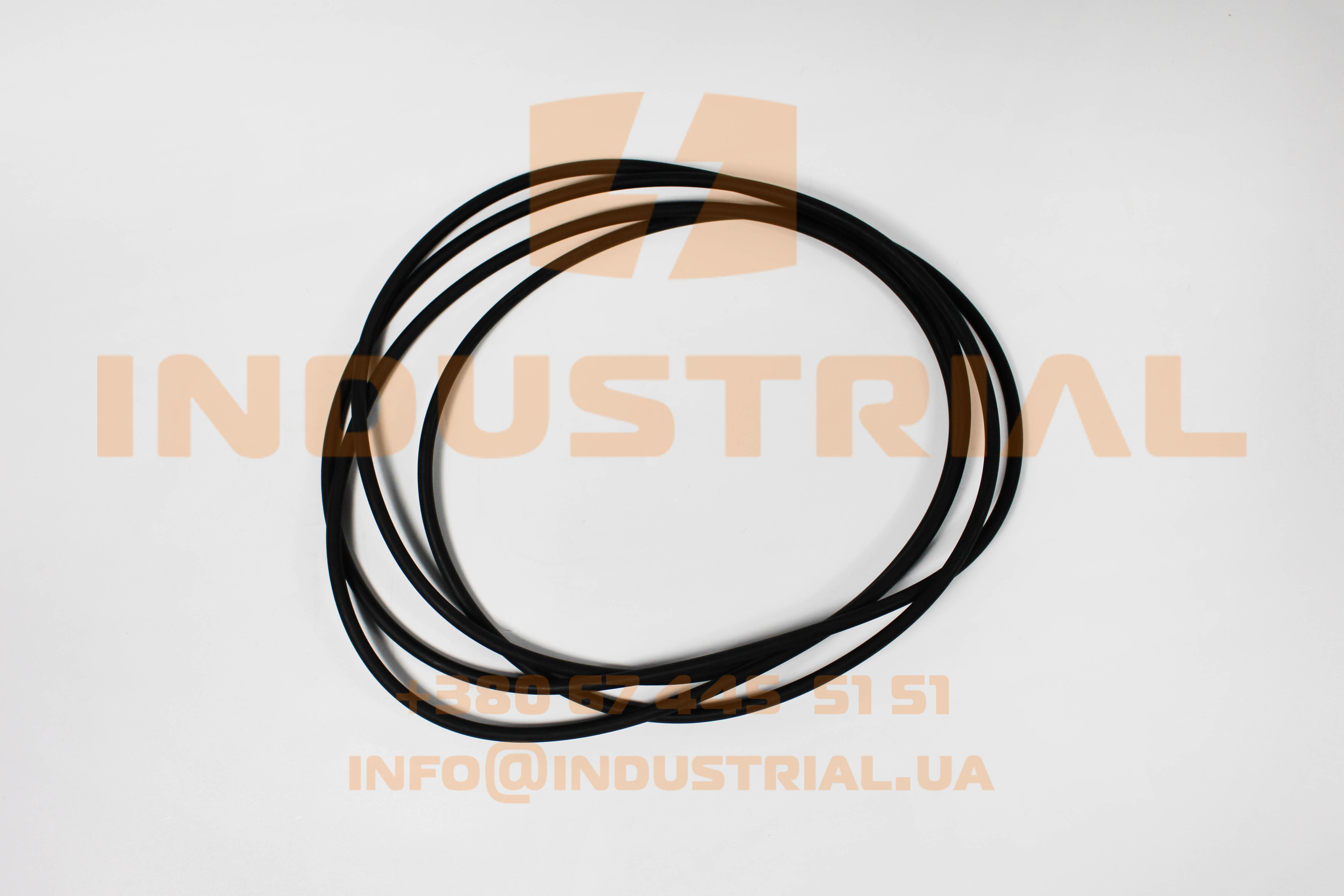 LEM 0209899 LEMA